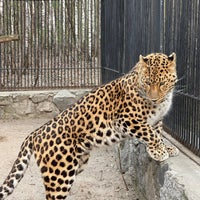 Photo taken at Novosibirsk Zoo by Eugene . on 5/8/2021