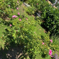 Photo taken at Kathrine Dulin Folger Rose Garden by Jackie N. on 6/25/2022