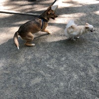 Photo taken at Woodland Park Off-Leash Area by Chloe S. on 4/26/2018