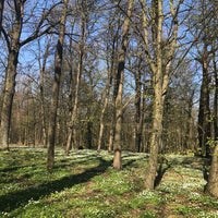 Photo taken at Ąžuolynas by ruta r. on 4/21/2018