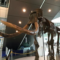 スリーエム仙台市科学館 2 Dicas スリーエム仙台市科学館 2 Dicas