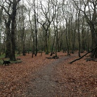 Photo taken at Coldfall Wood by G C. on 12/24/2012
