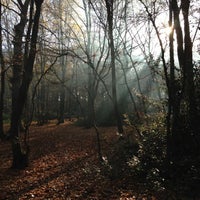 Photo taken at Coldfall Wood by G C. on 11/18/2012