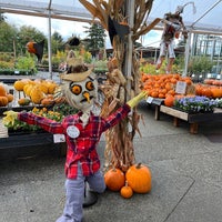 Photo taken at Swansons Nursery by Kaydee on 10/23/2022