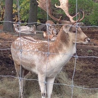 Photo taken at SMOLAK FARMS by Gwyn B. on 10/25/2014