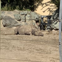 Photo taken at Black Rhino/Nile Hippo Exhibit by Lisa M. on 3/20/2021