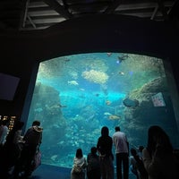 Foto tirada no(a) Enoshima Aquarium por Sha F. em 5/5/2024