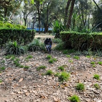 Photo taken at Parque para perros - Parque de los Venados by Nancy G. on 11/20/2021