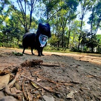 Photo taken at Parque para perros - Parque de los Venados by Nancy G. on 3/12/2022
