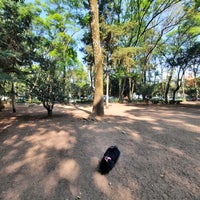 Photo taken at Parque para perros - Parque de los Venados by Nancy G. on 3/19/2022