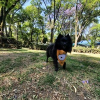 Photo taken at Parque para perros - Parque de los Venados by Nancy G. on 3/27/2022