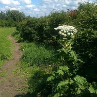 Photo taken at Павловская опытная станция ВИР by Al G. on 7/2/2013