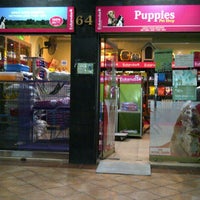 Review Puppies Pet Shop