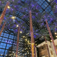 Photo taken at Winter Garden Atrium by Andrea M. on 2/15/2024