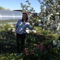 Photo taken at Коллективный сад &amp;quot;Мечта&amp;quot; by Оля ☀. on 6/1/2013