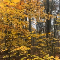 Photo taken at Black Moshannon State Park by Qin on 11/4/2017