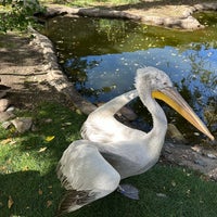 Photo taken at Tracy Aviary by Qin on 10/15/2022