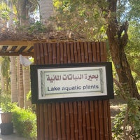 Photo taken at Aswan Botanical Island by Safery T. on 1/14/2023