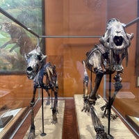Photo taken at San Diego Natural History Museum by Gabie R. on 11/1/2023
