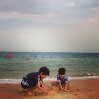 Palm Beach Resort منتجع شاطئ النخيل 78 Tips From 9683 Visitors