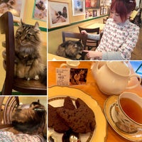 ディー カッツェ Die Katze 新宿区のカフェ
