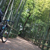 すずめのお宿緑地公園 碑文谷 碑文谷3 11 22 すずめのお宿緑地公園 碑文谷 碑文谷3 11 22