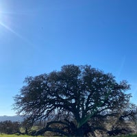 Photo taken at Coyote Creek Golf Club by Michael B. on 2/7/2021