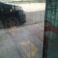 Muezza Veterinary Clinic 10 Tips From 227 Visitors