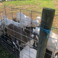Photo taken at Catapano Dairy Farm by Meg D. on 9/22/2019