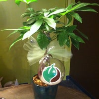 1/17/2013에 Amber S.님이 Green Leaf and Pebble Tea Spa에서 찍은 사진