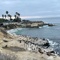 Photo taken at La Jolla Cove by Ahmed on 8/18/2021