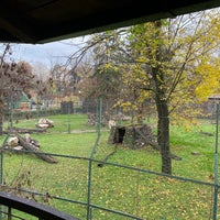 Photo taken at Skopje Zoo by Menno J. on 11/29/2021