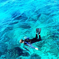 Foto tomada en Looe Key Reef Resort &amp;amp; Dive Center  por Looe Key Reef Resort &amp;amp; Dive Center el 11/20/2017