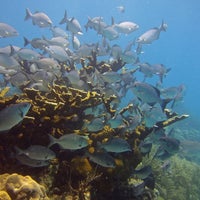 Foto tomada en Looe Key Reef Resort &amp;amp; Dive Center  por Looe Key Reef Resort &amp;amp; Dive Center el 11/20/2017