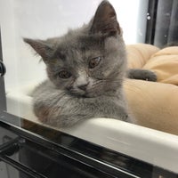 ペットのコジマ 六本木店 六本木 3 Tips