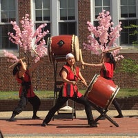 brookline school