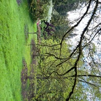 Photo taken at Seattle Japanese Garden by Wenyan Z. on 5/21/2022