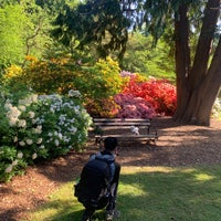 Photo taken at Washington Park Arboretum Hollies by Wenyan Z. on 5/16/2021