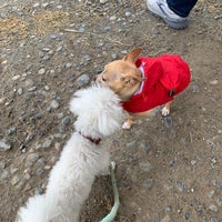 Photo taken at Magnuson Small Dog Area by Wenyan Z. on 5/28/2021