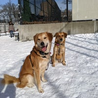 Photo taken at Washington Park Dog Run (JJ Byrne Dog Park) by Edwin C. on 12/19/2020