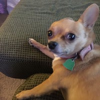 west ashley vet clinic