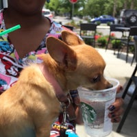 west ashley vet clinic