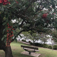 UQ Great Lake - 5 tips from 421 visitors