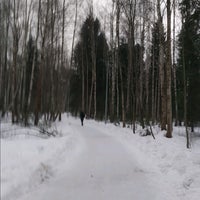 Photo taken at Черняевский лес by Vyacheslav P. on 3/12/2020