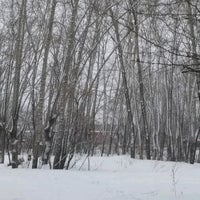 Photo taken at Черняевский лес by Vyacheslav P. on 3/2/2020