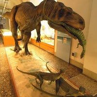 Foto tomada en Museo di Storia Naturale, Sezione di Geologia e Paleontologia  por Firenzecard el 3/5/2013
