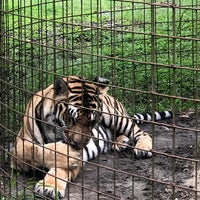 Photo taken at Big Cat Rescue by Theresa Q. on 7/7/2019