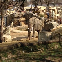 Photo taken at Prague Zoo by Никита К. on 4/14/2013