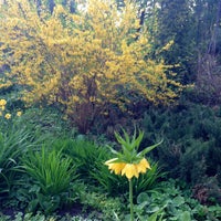 Photo taken at The Apothecaries&#39; Garden by Ekaterina K. on 5/13/2013