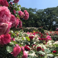 Photo taken at 里見公園 by Miho I. on 5/28/2022